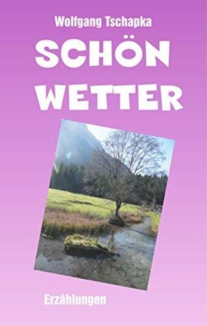 SCHÖNWETTER | 9783751935609 | TSCHAPKA, WOLFGANG