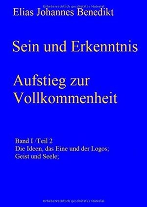 SEIN UND ERKENNTNIS | 9783750427044 | BENEDIKT, ELIAS JOHANNES