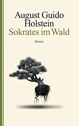 SOKRATES IM WALD | 9783749444823 | HOLSTEIN, AUGUST GUIDO
