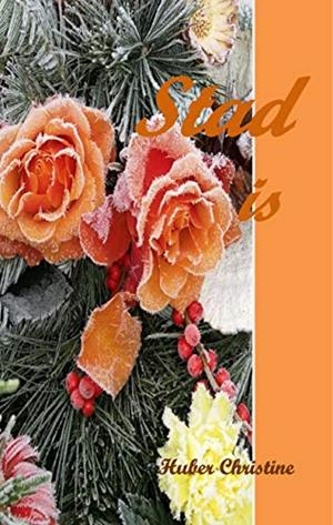 STAD IS | 9783750411876 | HUBER, CHRISTINE