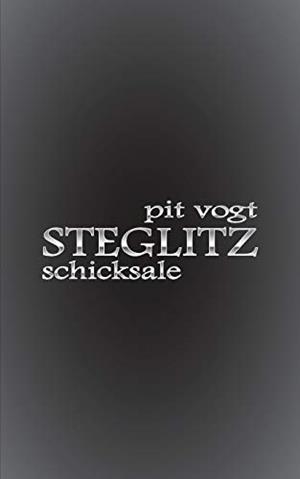 STEGLITZ | 9783748152309 | VOGT, PIT