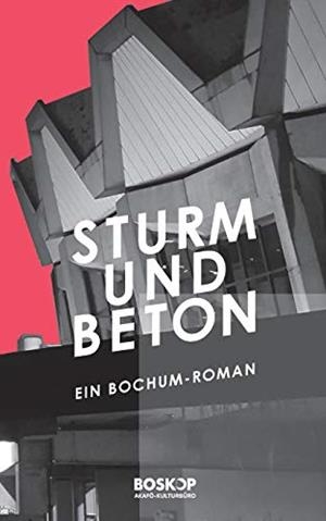 STURM & BETON | 9783749451142 | MEYER-DIETRICH, SARAH / STERN, FELIX / BIERMANN, CHR