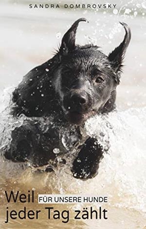 WEIL FÜR UNSERE HUNDE JEDER TAG ZÄHLT | 9783750433236 | DOMBROVSKY, SANDRA