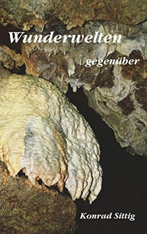 WUNDERWELTEN GEGENÜBER | 9783750483248 | SITTIG, KONRAD