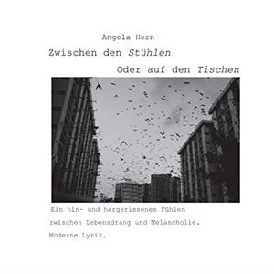 ZWISCHEN DEN STÜHLEN - ODER AUF DEN TISCHEN | 9783750451261 | HORN, ANGELA