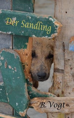 DER SANDLING | 9783749498796 | VOGT, BENJAMIN