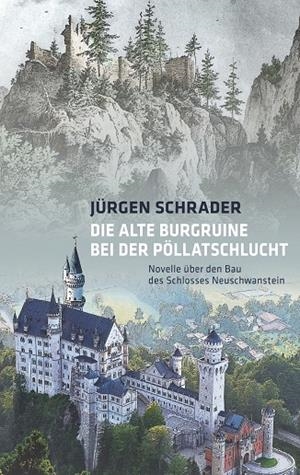 DIE ALTE BURGRUINE BEI DER PÖLLATSCHLUCHT | 9783749403318 | SCHRADER, JURGEN