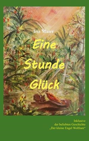 EINE STUNDE GLÜCK | 9783750430426 | MAIER, IRIS