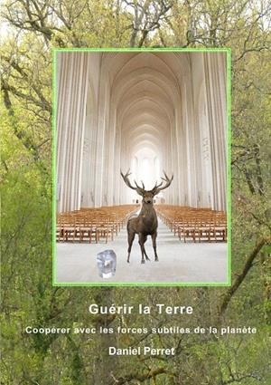 GUÉRIR LA TERRE | 9782322017706 | PERRET, DANIEL