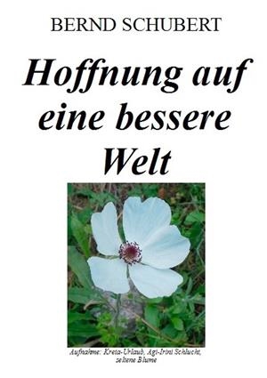 HOFFNUNG AUF EINE BESSERE WELT | 9783750431744 | SCHUBERT, BERND