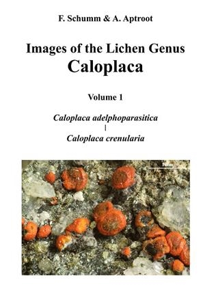 IMAGES OF THE LICHEN GENUS CALOPLACA, VOL 1 | 9783749413928 | SCHUMM, FELIX