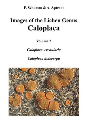 IMAGES OF THE LICHEN GENUS CALOPLACA, VOL 2 | 9783749413874 | SCHUMM, FELIX / APTROOT, ANDRE