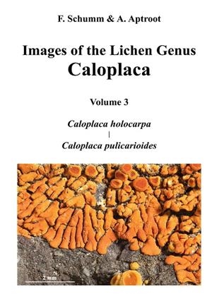 IMAGES OF THE LICHEN GENUS CALOPLACA, VOL 3 | 9783749413881 | SCHUMM, FELIX / APTROOT, ANDRE