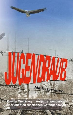 JUGENDRAUB | 9783744809122 | HARMSEN, MAIK
