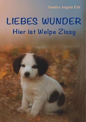 LIEBES WUNDER | 9783749499205 | ERB, SANDRA A.