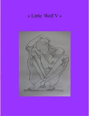 LITTLE WOLF V | 9783752880922 | THIEME, HEIKE