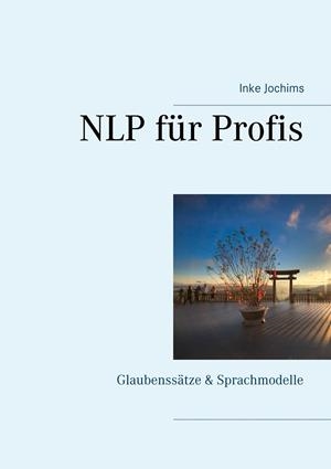 NLP FÜR PROFIS | 9783839198742 | JOCHIMS, INKE