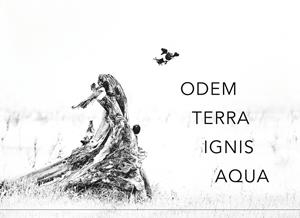 ODEM TERRA IGNIS AQUA | 9783741254239 | TROPPKO, HERWIG K.