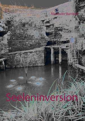SEELENINVERSION | 9783752832181 | BARRIBALL, ALEXANDER