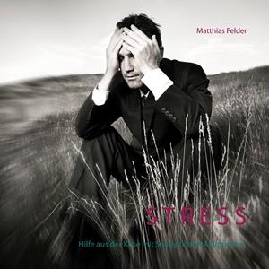 STRESS | 9783750420908 | FELDER, MATTHIAS