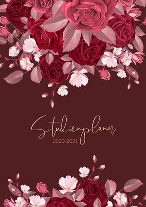 STUDIENPLANER 2020-2021 | 9783839101933 | MUUR, LA
