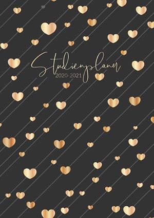 STUDIENPLANER 2020-2021 | 9783839100042 | MUUR, LA