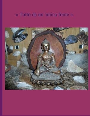 TUTTO DA UN'UNICA FONTE | 9783751936408 | THIEME, HEIKE
