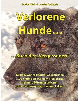 VERLORENE HUNDE...BUCH DER VERGESSENEN | 9783752834468 | KLINK, STEFAN / PODLESAK, JESSIKA