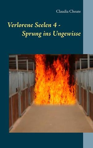 VERLORENE SEELEN 4 - SPRUNG INS UNGEWISSE | 9783749466276 | CHOATE, CLAUDIA