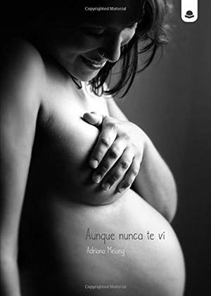 AUNQUE NUNCA TE VI | 9788413172262 | MEIANG, ADRIANA
