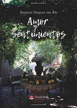 AMOR Y SENTIMIENTOS | 9788413044798 | VÁZQUEZ DEL RÍO, ÁNGELES