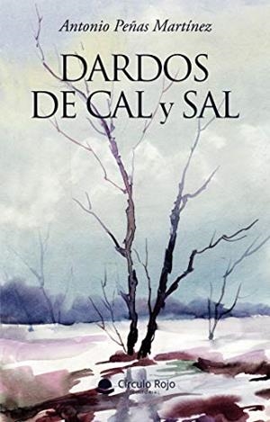 DARDOS DE CAL Y SAL | 9788413507408 | PEÑAS MARTÍNEZ, ANTONIO