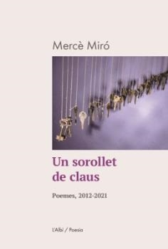 SOROLLET DE CLAUS, UN | 9788412379006 | MIRÓ, MERCÈ
