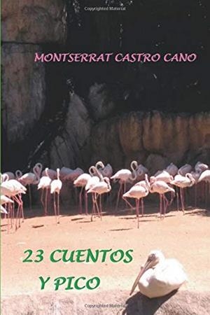 23 CUENTOS Y PICO | 9788409053391 | CASTRO CANO, MONTSERRAT