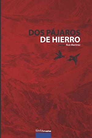 DOS PÁJAROS DE HIERRO | 9788416030484 | RUIZ MARTÍNEZ, GAZTEA
