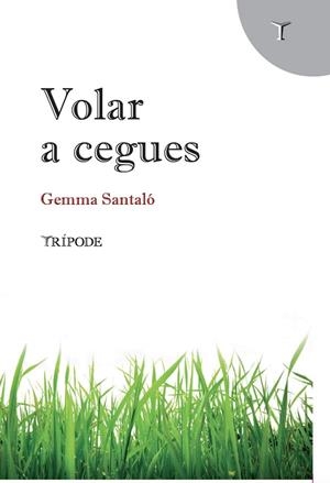 VOLAR A CEGUES | 9788412392005 | SANTALÓ, GEMMA