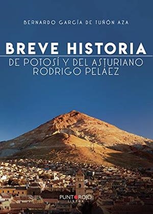 BREVE HISTORIA DE POTOSÍ Y DEL ASTURIANO RODRIGO PELÁEZ | 9788417952631 | GARCÍA DE TUÑÓN, BERNARDO