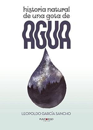 HISTORIA NATURAL DE UNA GOTA DE AGUA | 9788416937080 | GARCÍA SANCHO, LEOPOLDO