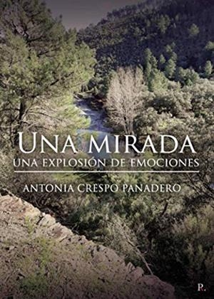 MIRADA, UNA EXPLOSIÓN DE EMOCIONES, UNA | 9788418416866 | CRESPO PANADERO, ANTONIA