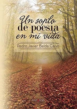 SOPLO DE POESÍA EN MI VIDA, UN | 9788416658237 | BELDA CALVO, PEDRO JAVIER