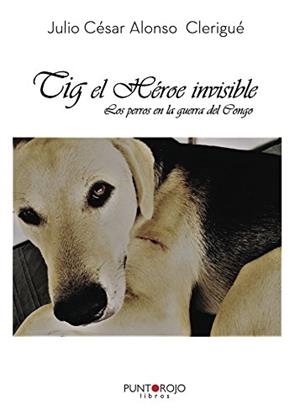 TIG, EL HÉROE INVISIBLE | 9788417148195 | ALONSO CLERIGUÉ, JULIO CÉSAR