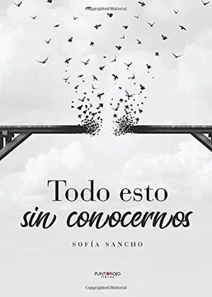 TODO ESTO SIN CONOCERNOS | 9788418031045 | SANCHO VÁZQUEZ, SOFÍA
