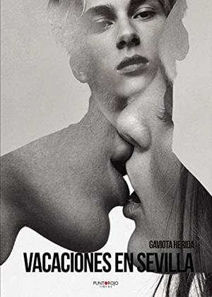 VACACIONES EN SEVILLA | 9788417652586 | HERIDA, GAVIOTA