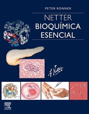 NETTER. BIOQUIMICA ESENCIAL | 9788491135159 | RONNER, PETER
