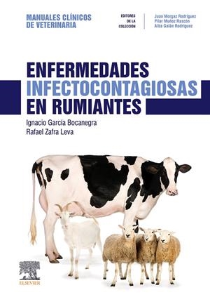 ENFERMEDADES INFECTOCONTAGIOSAS EN RUMIANTES | 9788491133537 | GARCIA BOCANEGRA, IGNACIO