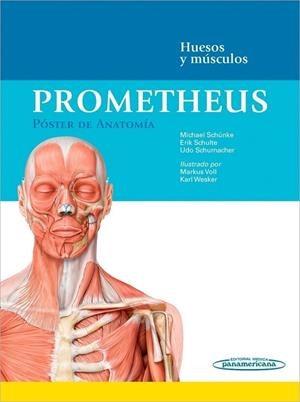 PROMETHEUS. POSTER DE ANATOMIA | 9788498359619 | SCHÜNKE, MICHAEL