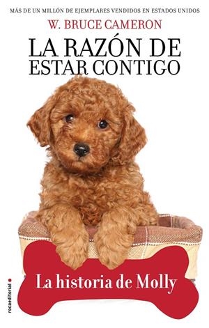RAZÓN DE ESTAR CONTIGO, LA. LA HISTORIA DE MOLLY | 9788417968007 | CAMERON, W. BRUCE