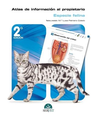 ATLAS DE INFORMACIÓN AL PROPIETARIO. ESPECIE FELINA (2 ED) | 9788418339516 | PALMERO COLADO, Mª LUISA