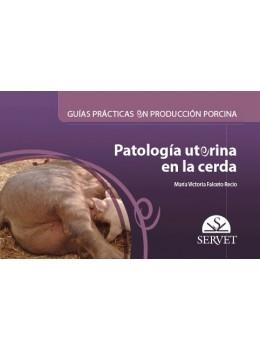 GUIAS PRACTICAS EN PRODUCCION PORCINA PATOLOGIA UTERINA EN LA CERDA | 9788418020131 | FALCETO RECIO, MARIA VICTORIA