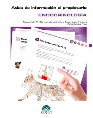 ATLAS DE INFORMACION AL PROPIETARIO. ENDOCRINOLOGIA | 9788418020247 | MARCA ANDRES, Mª CARMEN